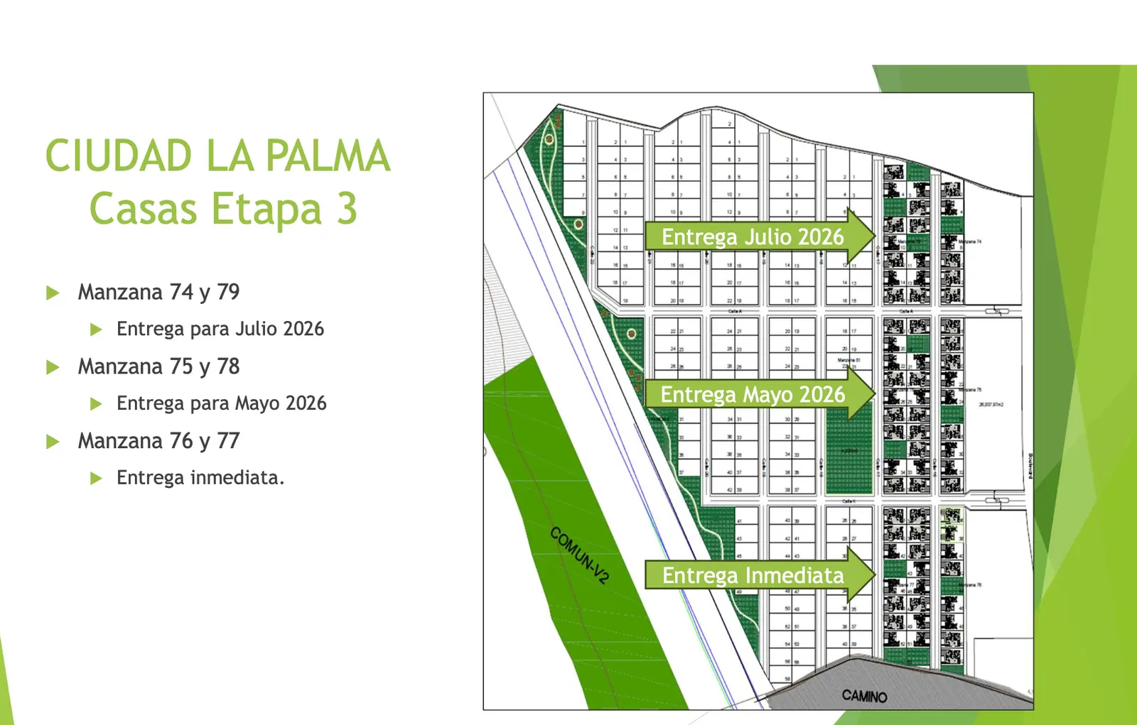 Ciudad La Palma House — foto 4