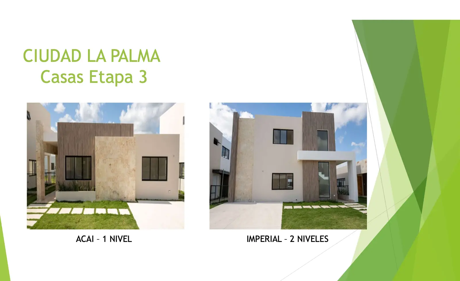 Ciudad La Palma House — foto 10
