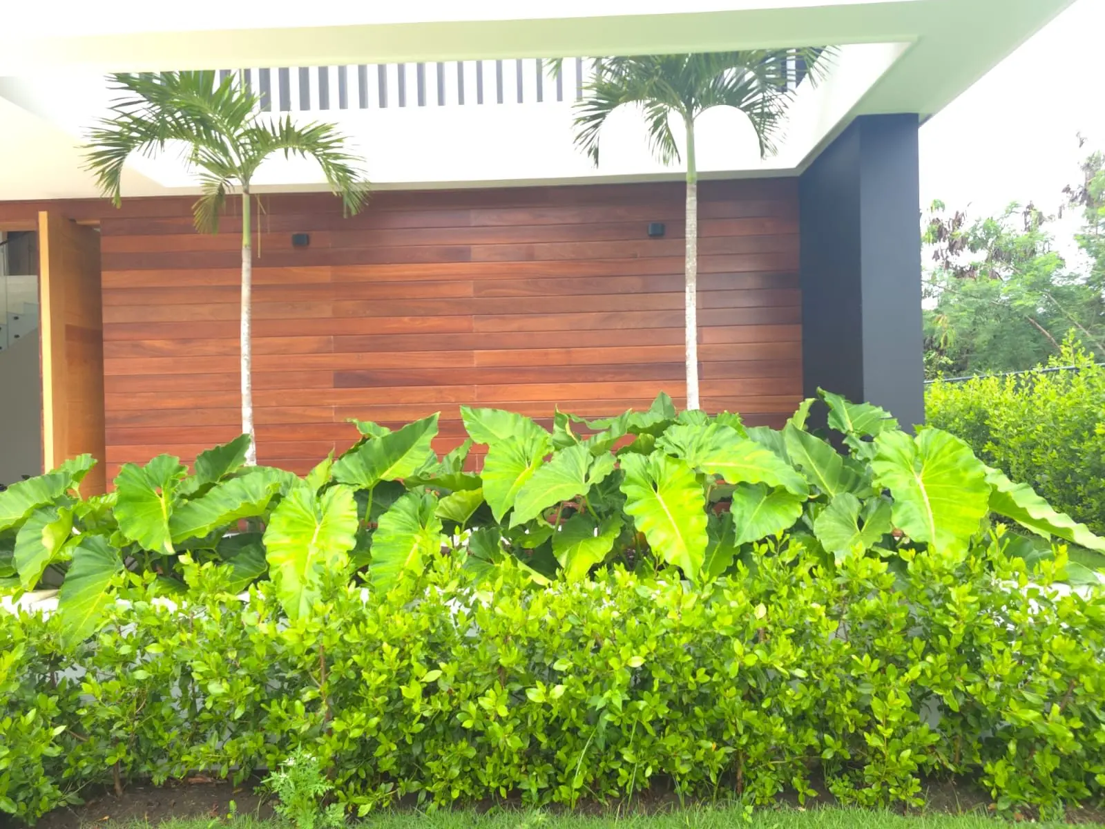 Escaevola 22 — foto 3